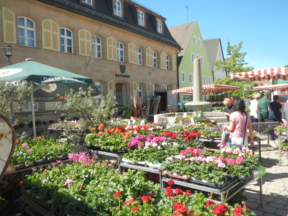 Maimarkt