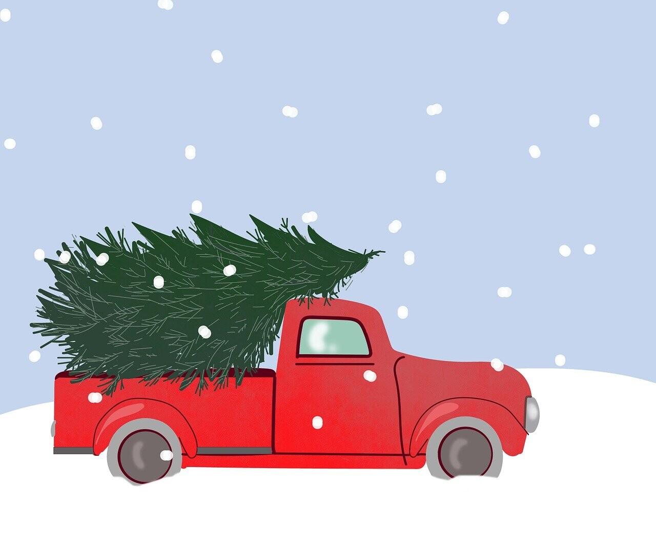 Weihnachtsbäume gesucht
