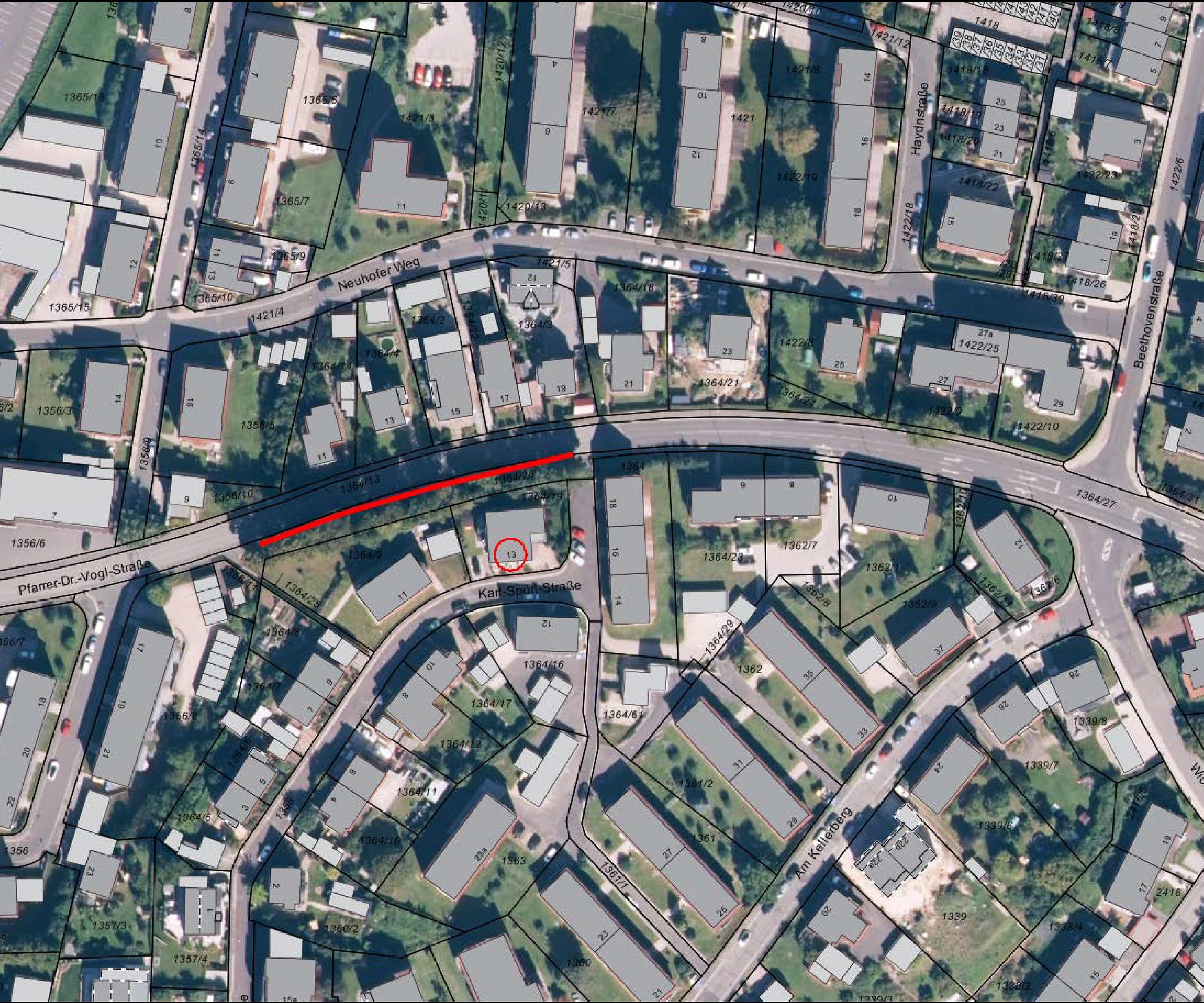 Baumpflegemaßnahmen