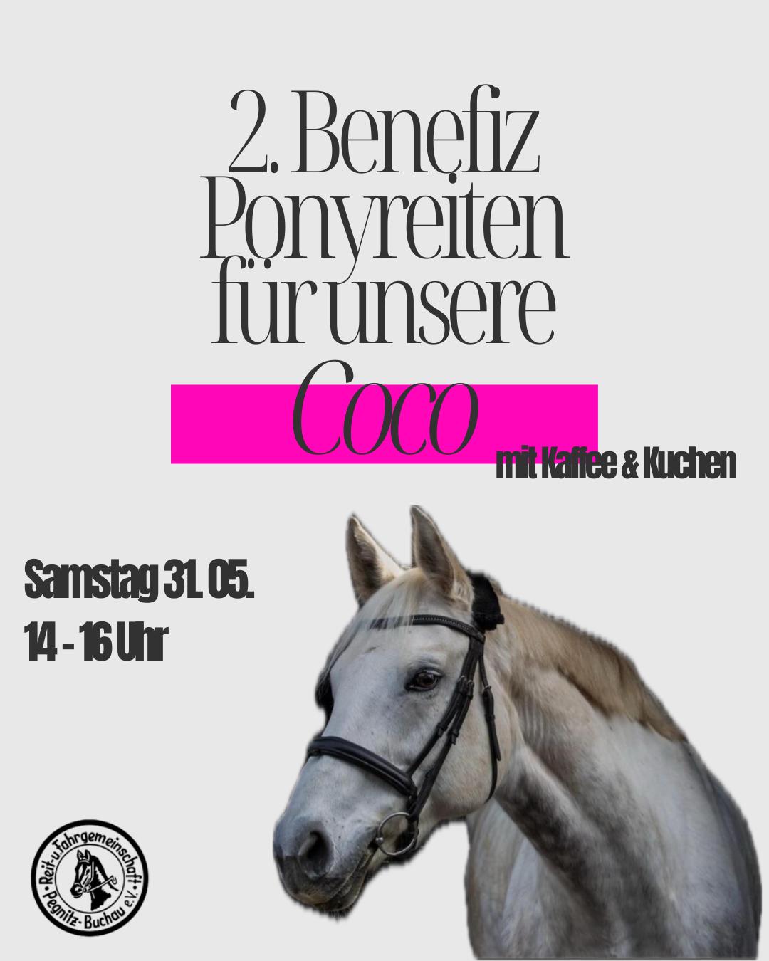 2. Benefiz Ponyreiten für Coco