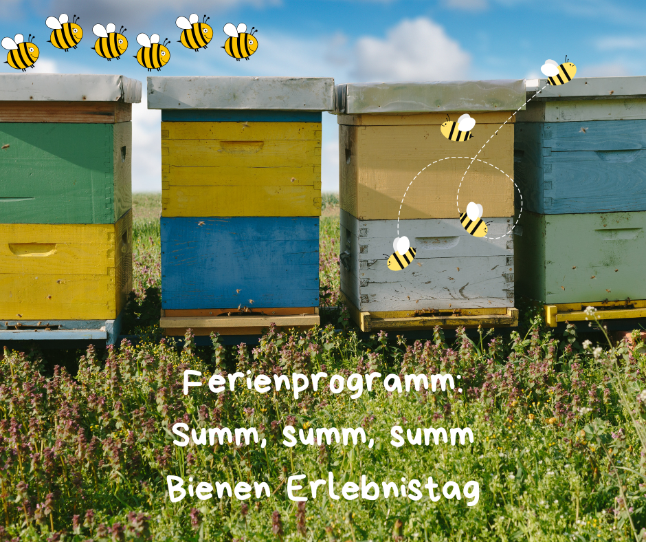 Ferienprogramm: Summ, summ, summ - Bienen-Erlebnistag