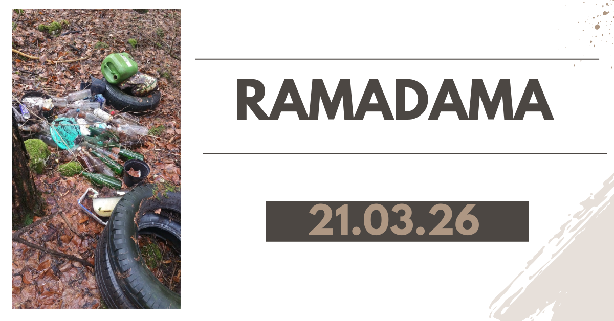 RAMADAMA 2026