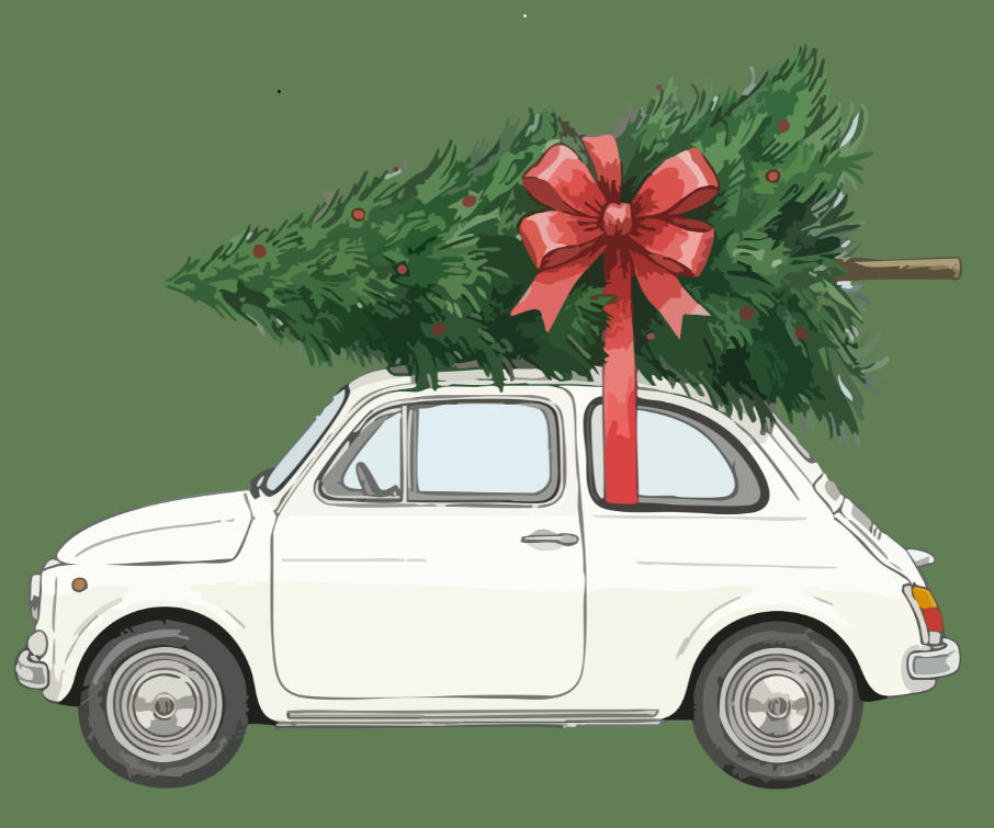 Weihnachtsbäume gesucht